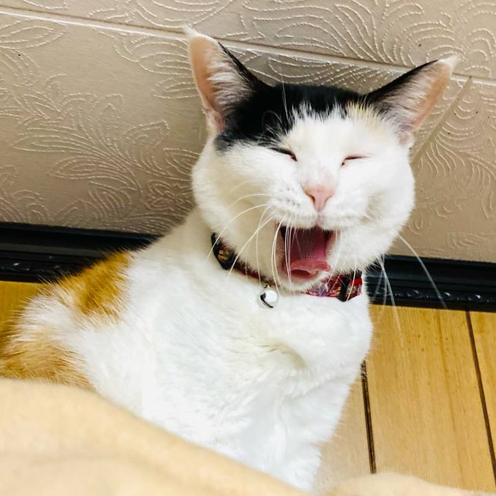 36171591 3a32 48a0 9db2 f38ddb0cd941 1666478642591