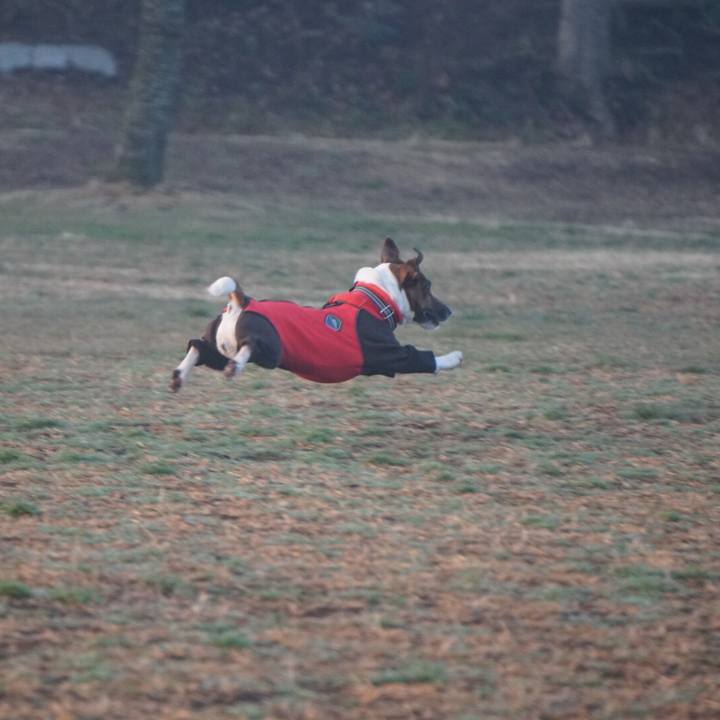 36171947 6b8a 4859 aaaa ab8c5d70e8aa 1550703753892