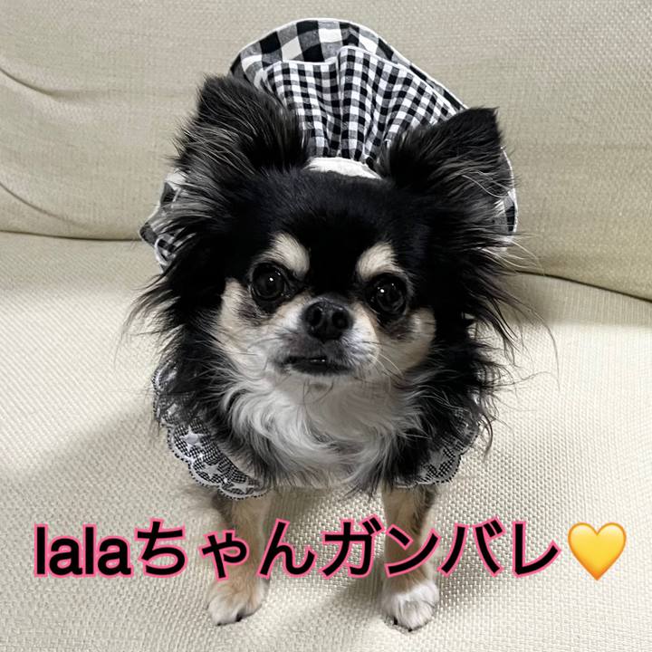 3617329f b6db 4786 ac82 9e60a7730b66 1691579917151