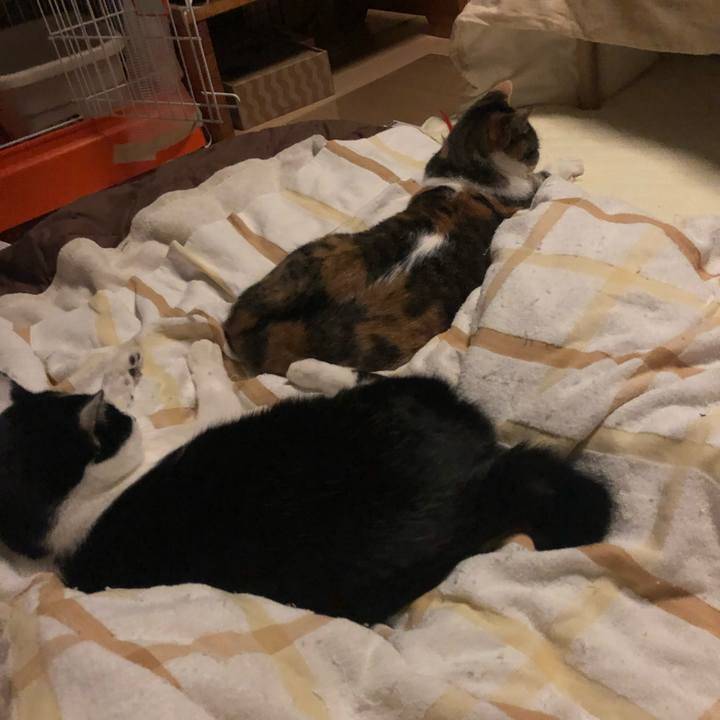 36179b36 e3dd 42c8 ad13 c75fea9f08cd 1581352122959