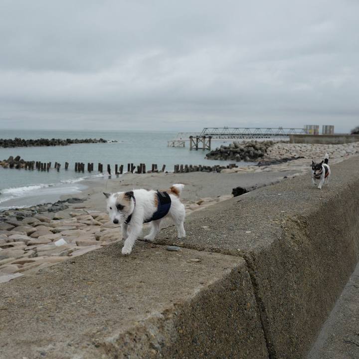 3617b2c0 ec46 40a8 82be 0833cc3a7fa6 1523076442249