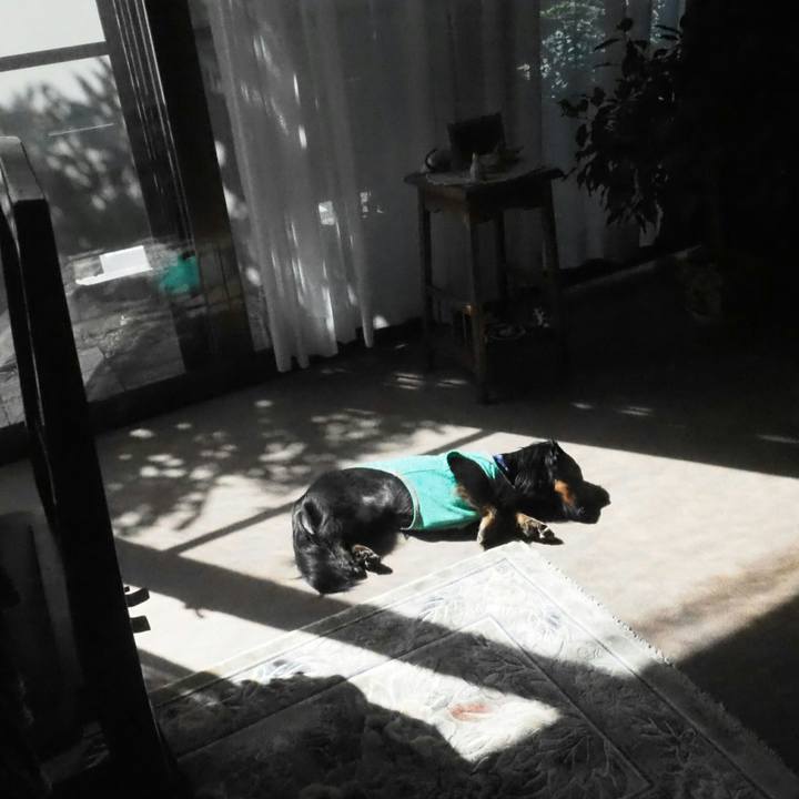 3617f6a2 7f5a 4ace a3ad 5985715c0248 1539743757948