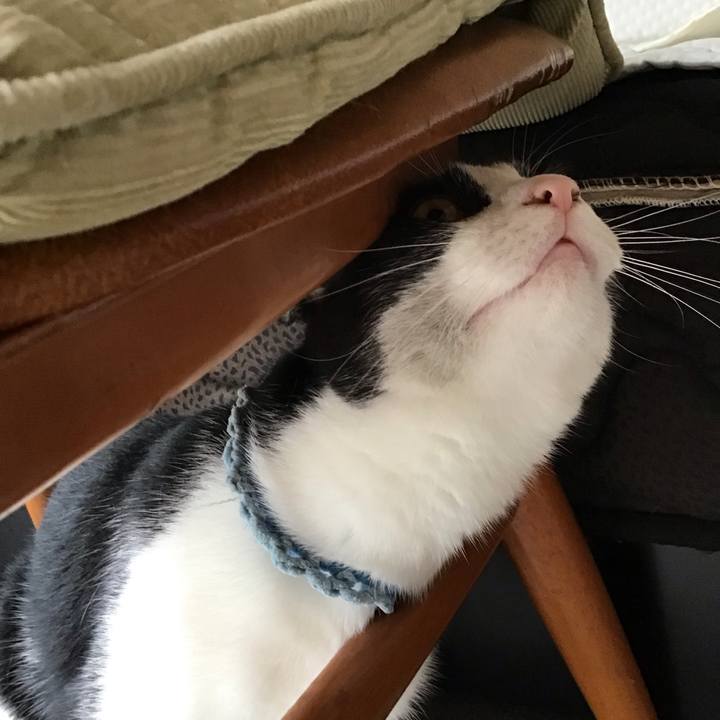 36182773 e96f 4290 bdbb 3670de954bc7 1663983130967