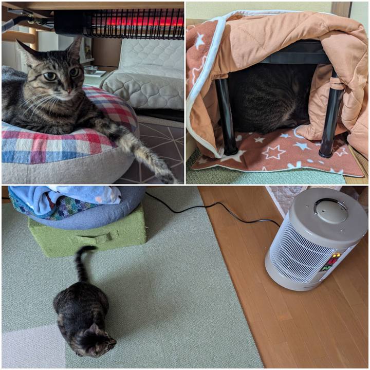 361831a1 4ccc 4ecd 9898 1189fd74b5ae 1729474935537