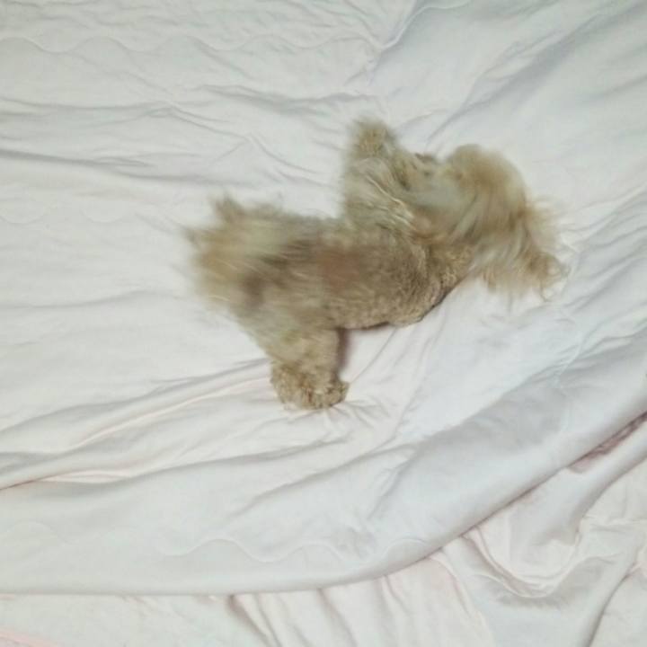 3618638f 0a79 4acf 8889 0fd05ba47075 1561556294412