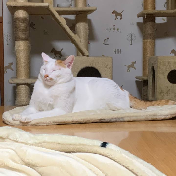 3618751f b71d 4848 a21d 14a51cfcb9e2 1573653304055