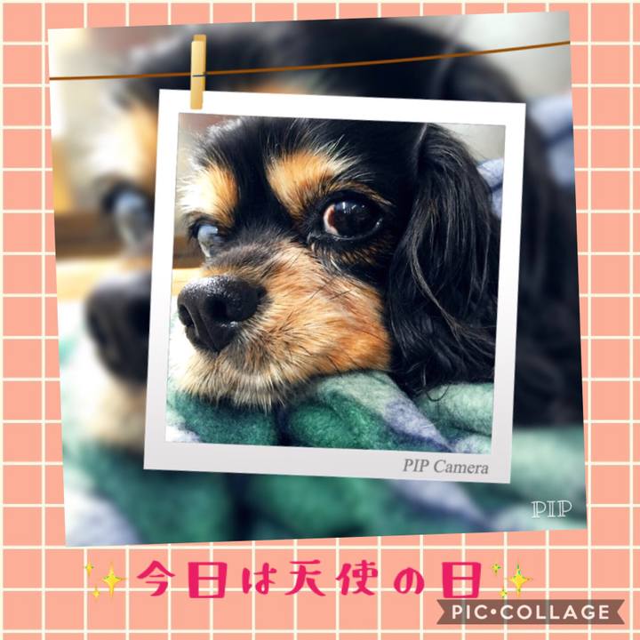 36187d42 e442 47cf 9a2c 59087d50e7f2 1538650119275