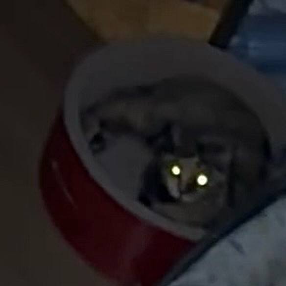 3618aca5 8e5a 4338 b9ca c4aa7481287c 1757449225073