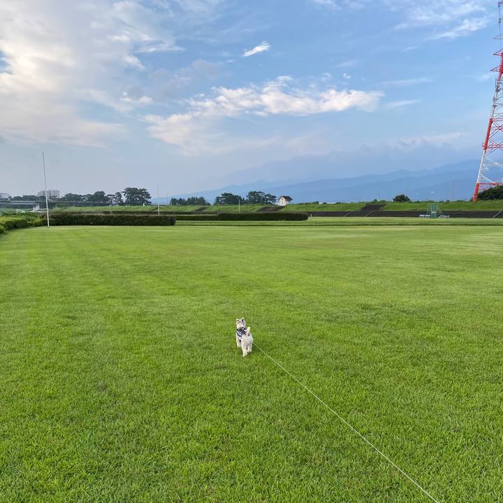 3618bf0d 7bf8 43a8 aab8 a5b5ecfd0382 1596931252861