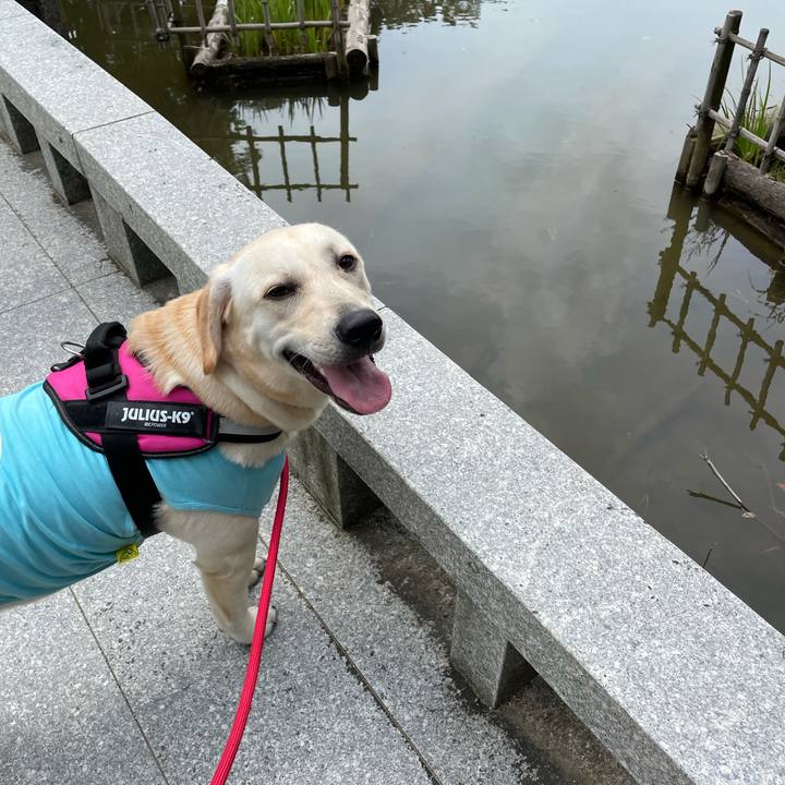 3618d4a7 4bf1 43fd b132 291fd4cd832a 1629843321571