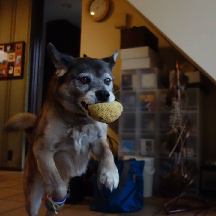 3618f27a 2944 4fa7 a5c7 02f8bcd41bed 1658791414124