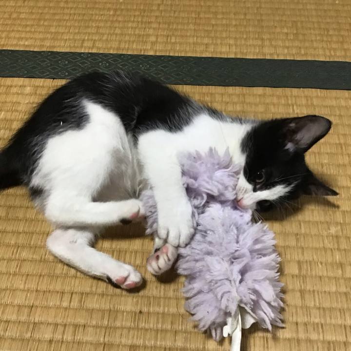 36190154 84d0 4f5b b992 f2db5048913b 1625192456665