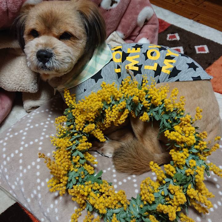 36191611 4cc7 4b9e 8262 04e6ef46929d 1552628239655