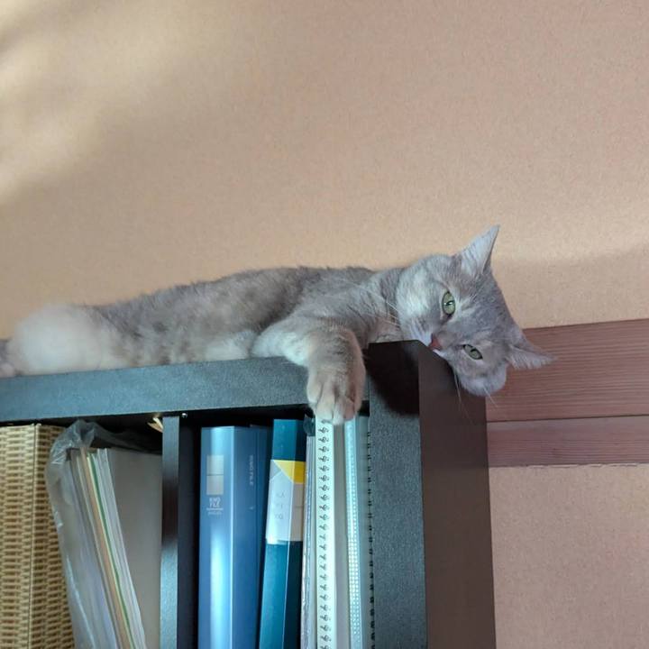 36192510 4ad5 4177 a035 e9b8e36a18d6 1754302451559