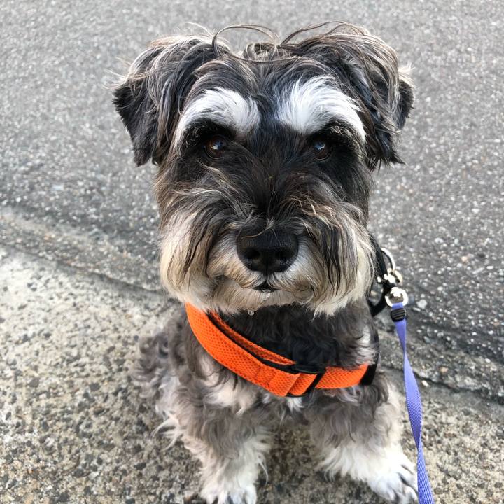 361925e3 465e 4164 9e17 f7ea55f75d50 1693688881489