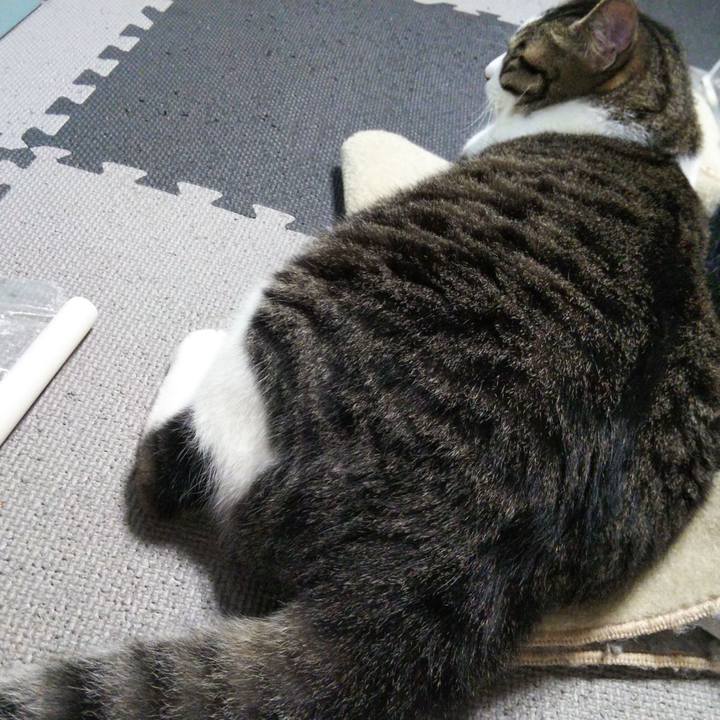 36193085 fbf2 4893 b753 fb5fc5d4c941 1655814309345