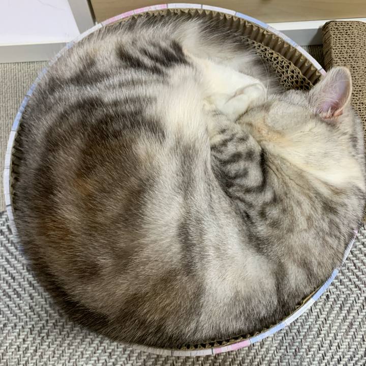 36195424 bad6 4663 962e ae7c610f5331 1707005945795