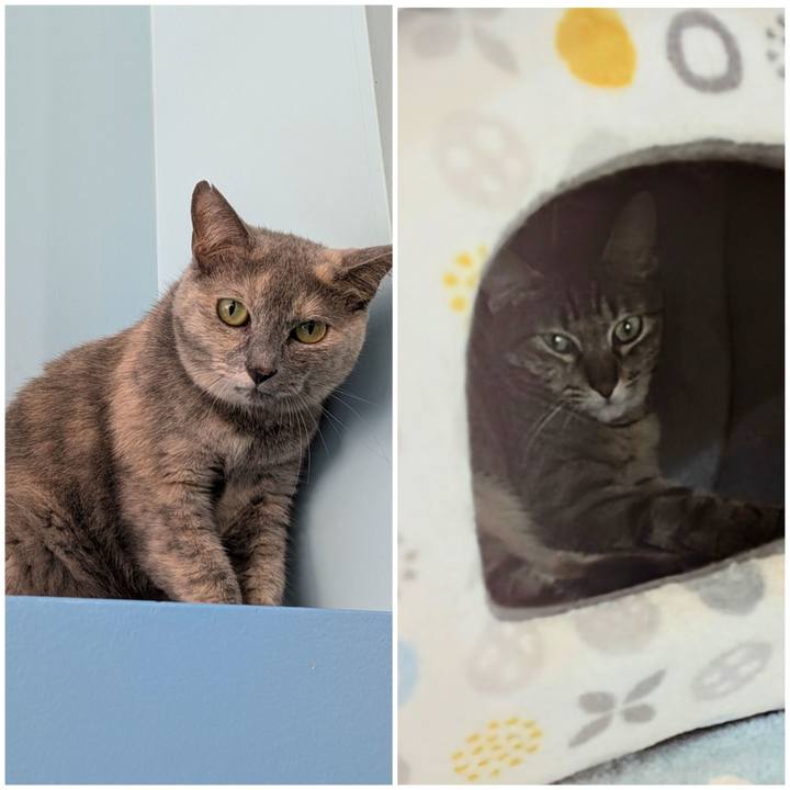 36196f13 43f3 462d b8cd 19efa6a344d0 1755075815514