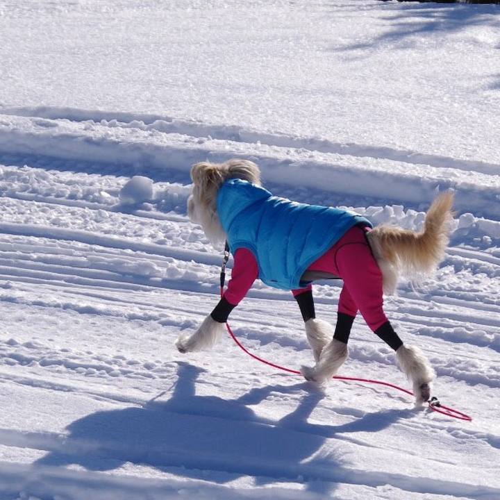 36199021 576c 48d3 84d8 f522ab797cd3 1547874380221