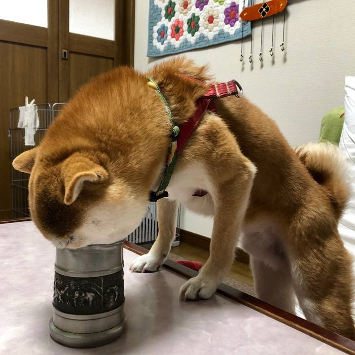 3619f88a 7c0a 45ad a7eb 50c28793a2c6 1548406154203