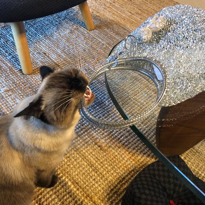 361a1097 2cdf 474d aa5b 4b85235cec27 1631235431860