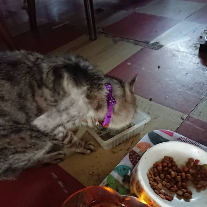 361a1b56 330d 4ff5 aaae dc8dce96b50e 1595484578346