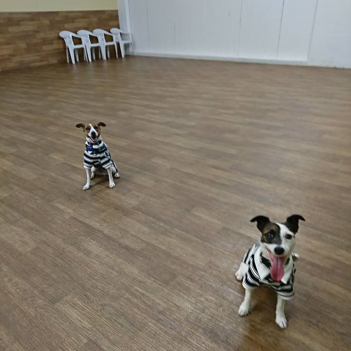 361a3a72 9a55 43ff 9353 efd3a49bfdee 1540005192461