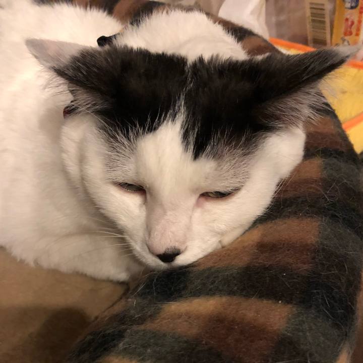 361a5e72 e107 4f7b 885c 8af6b046a94c 1525788619092