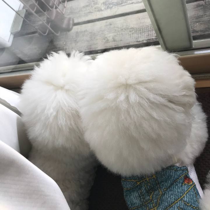 361a7dd1 ac12 4787 aba3 3462b5fcbe87 1557037845026