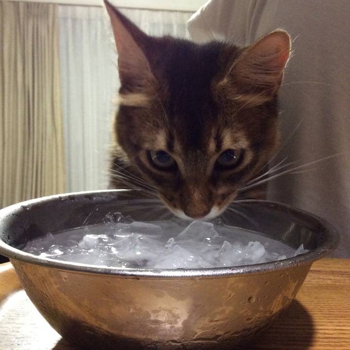 361aa2e7 a9e3 4826 a333 3524a3dfff43 1565703834536