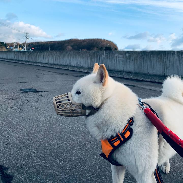 361abdae 9672 437c b677 c3897daad928 1650664579183