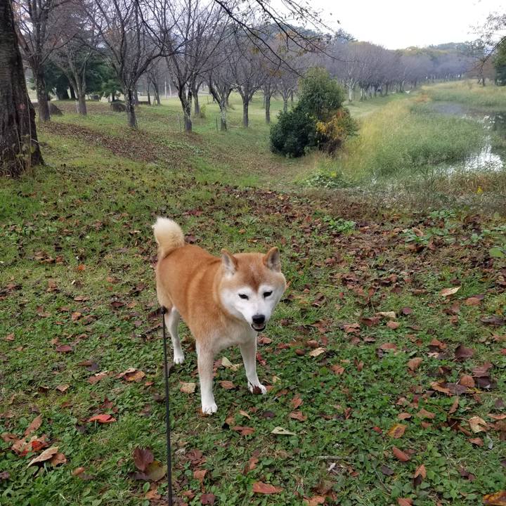 361b3c9e 11a2 4951 834b 6ae90a8b3cea 1666420023912