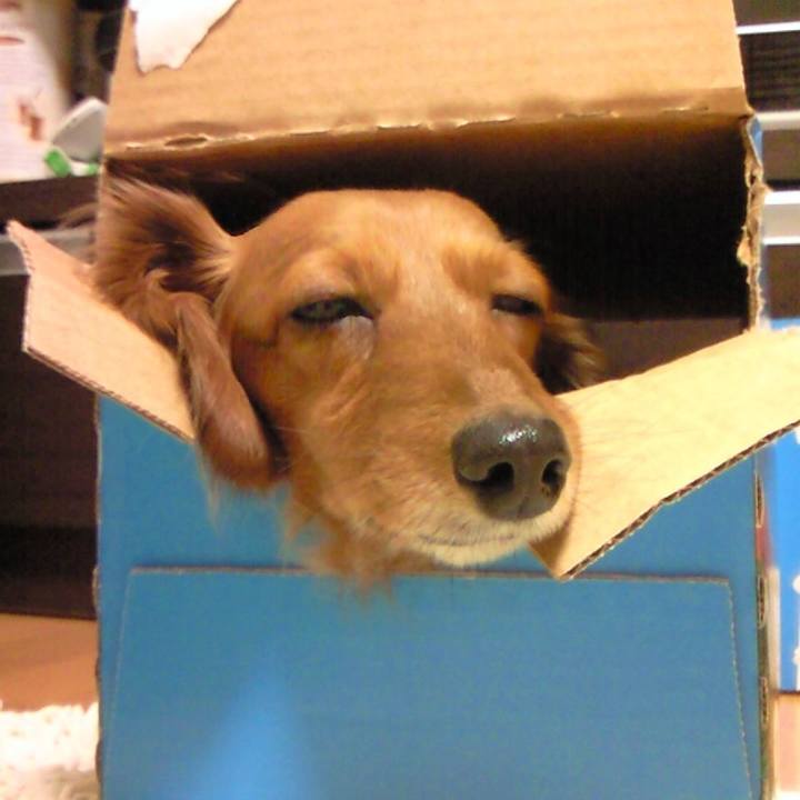 361b45b0 924b 460d 8a35 7c605fce0707 1535220605526