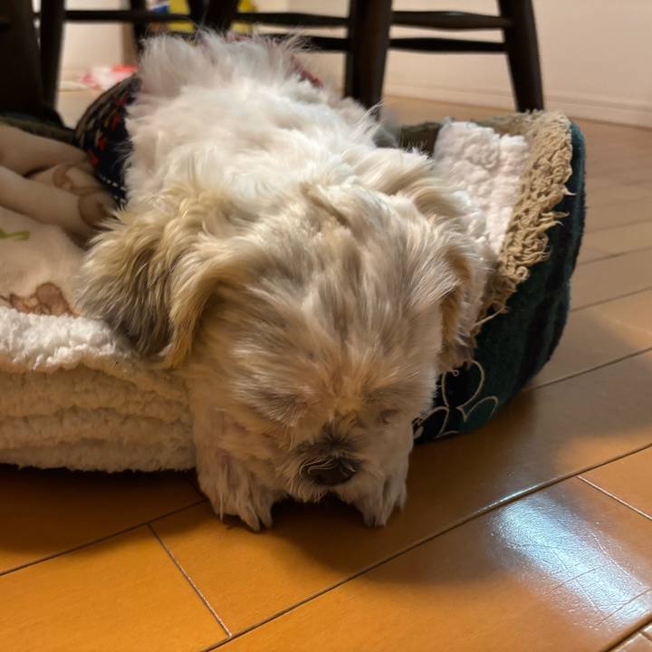 361b560a c578 40aa ad8c ae853f3c443e 1762119535314