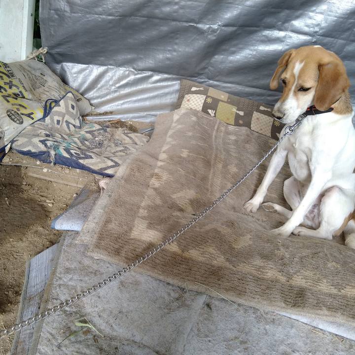 361ba832 6fdc 4ceb b6cb b96df52d33a2 1625109944096