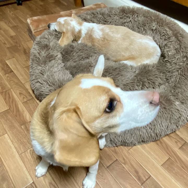 361bbd1c 8768 455a bfdc 7ba8a63efc9a 1613387801797