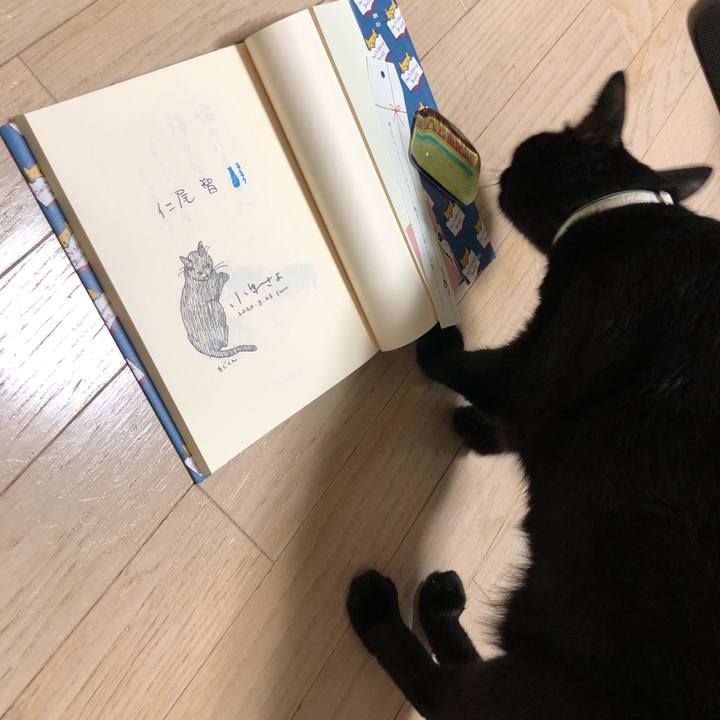 361bc065 2545 4de4 b585 c8b39cf40a9b 1598185387666