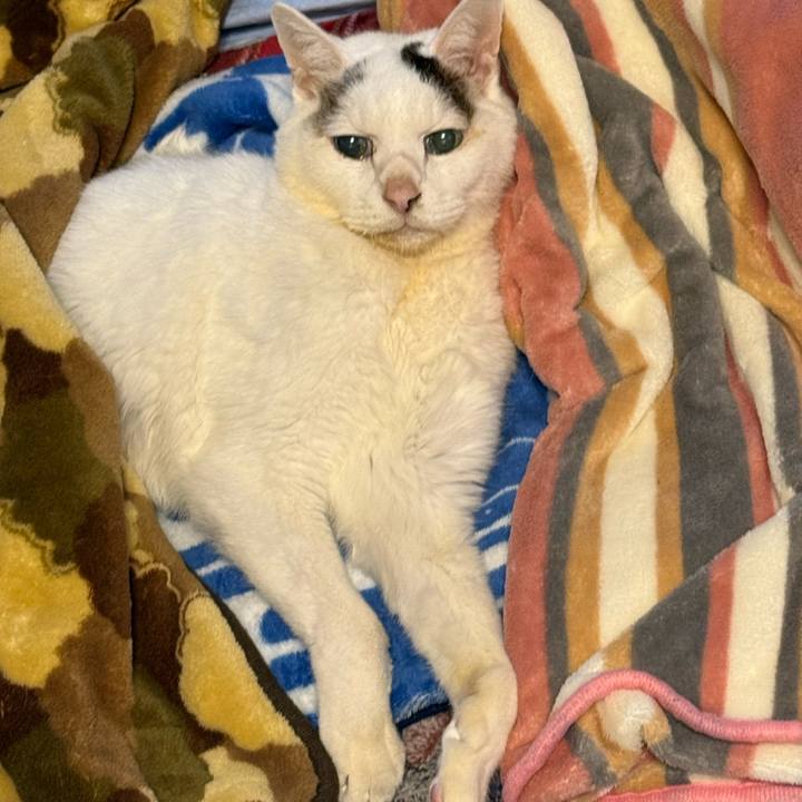 361bffcb bb40 4821 812d a4e321dc8b38 1769040473080