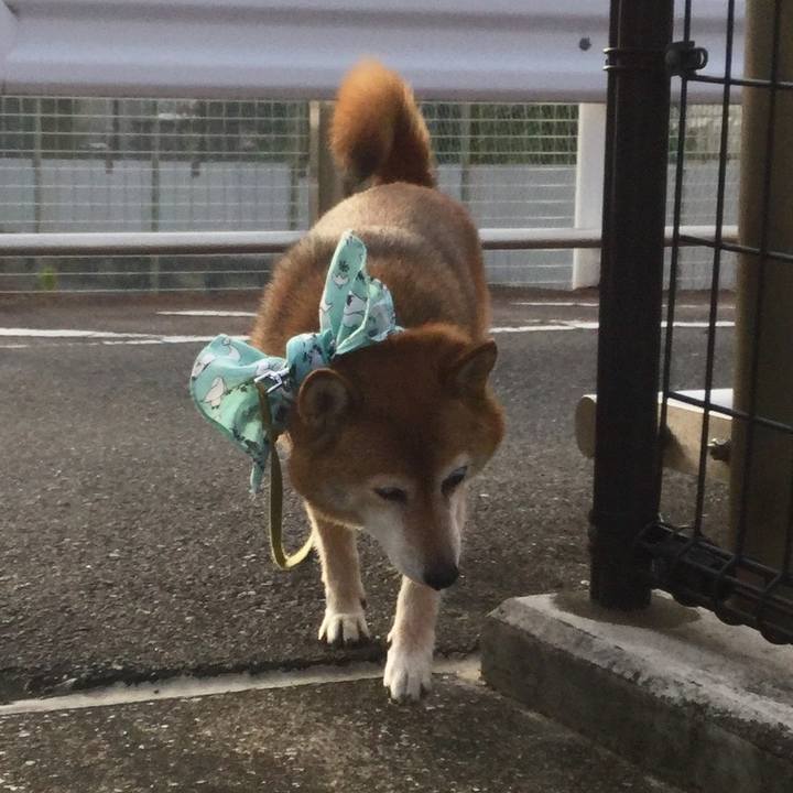 361c012e 894e 4973 b03b eca280f466b0 1627547849583