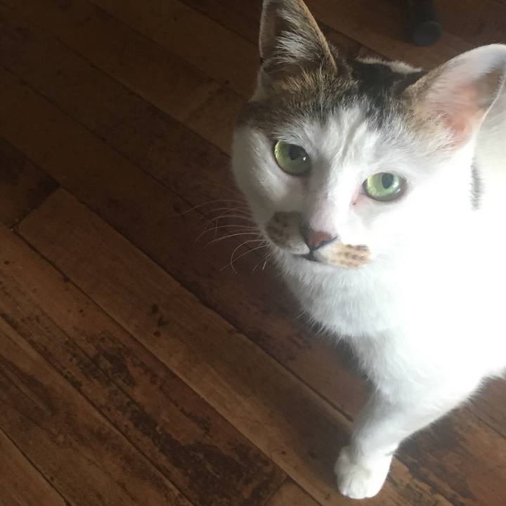 361c06f6 920c 4342 99b7 d170f3a1aaf5 1587556641740