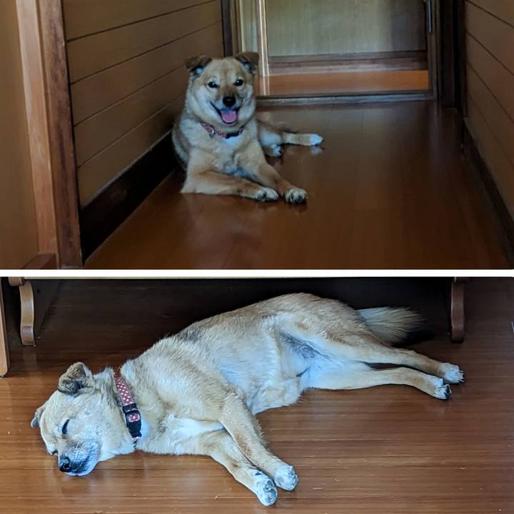 361c09d6 3076 4ed9 b1c3 11da58addace 1685884138909