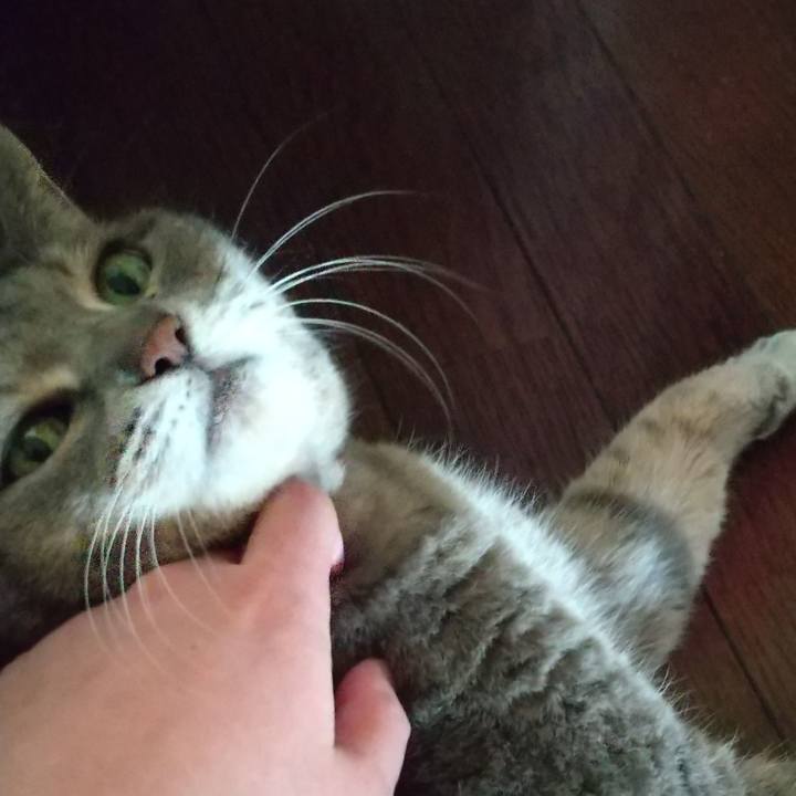 361c187c dbb0 4f6a 995d 430547231b64 1634778244510