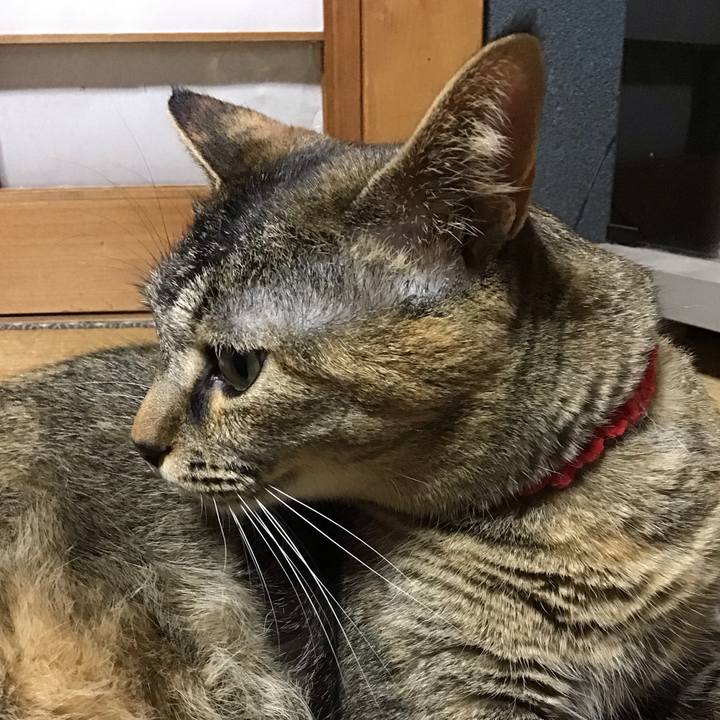 361c1c3f 45d9 4363 b493 561eb7da6e3a 1684589211682