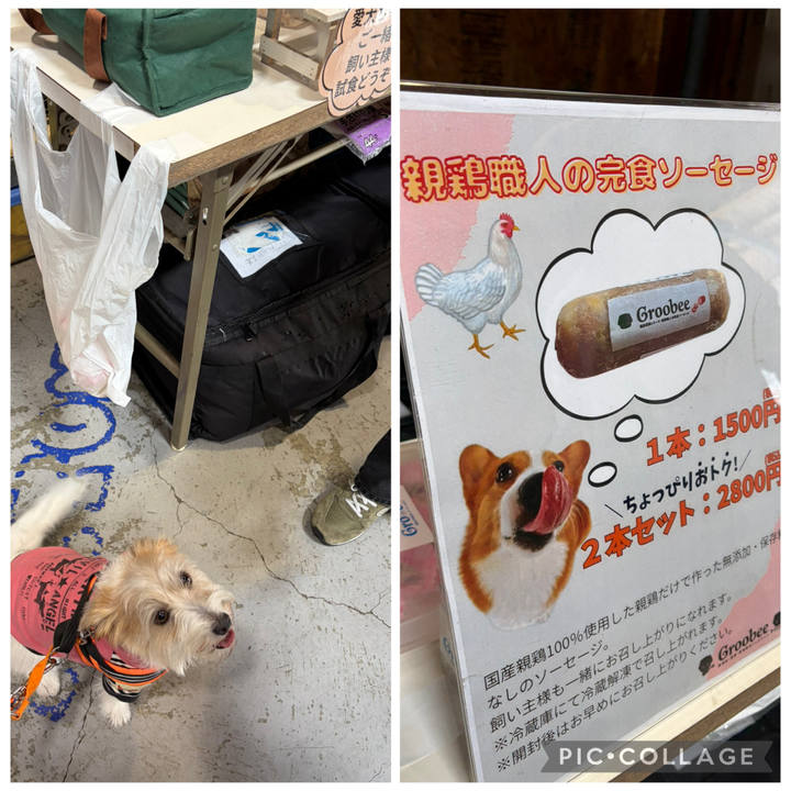 361c3c28 2472 4c8e a169 186a3d4d680b 1771753397997