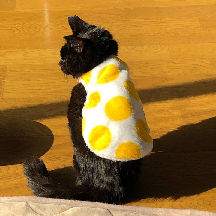 361c542c bea1 4c3e b9c6 0e4152116c2c 1557956564209