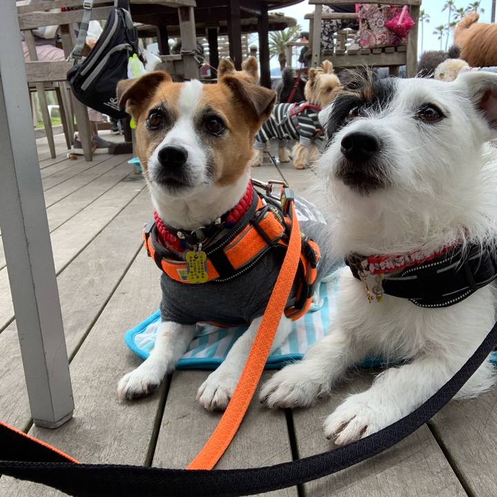 361c824c 55ee 42d4 8f51 90060bf23c0d 1557105612192