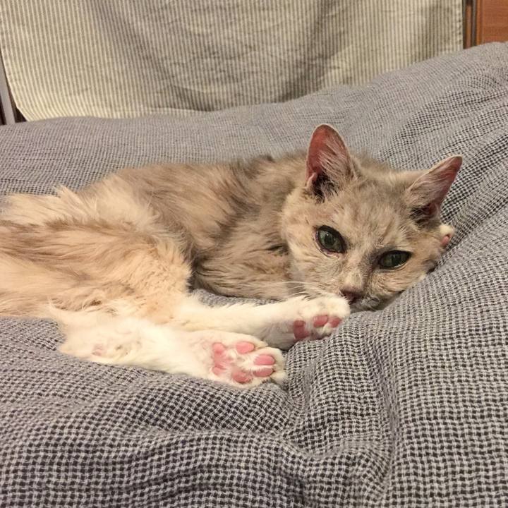 361c82b4 436b 4f64 8846 7d1b514f8a43 1589091633904