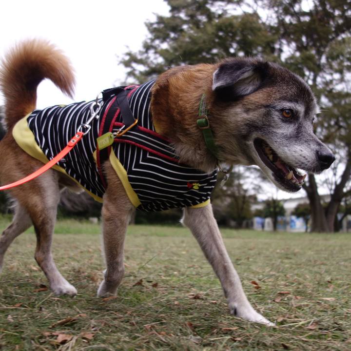 361ce0c4 d8e1 4292 838b 260bb8309905 1571276642328