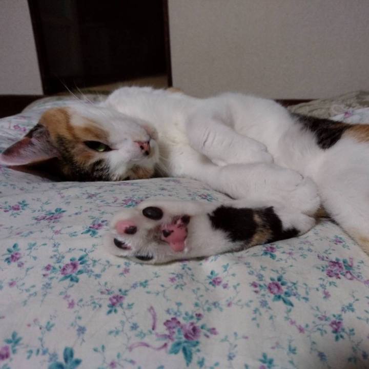 361ceb61 7fcc 497c 8276 e8df4cfd08d2 1636031027168