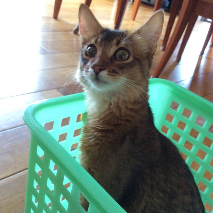 361d23de f541 4997 bcf3 d1b379c4e9ed 1565561397727